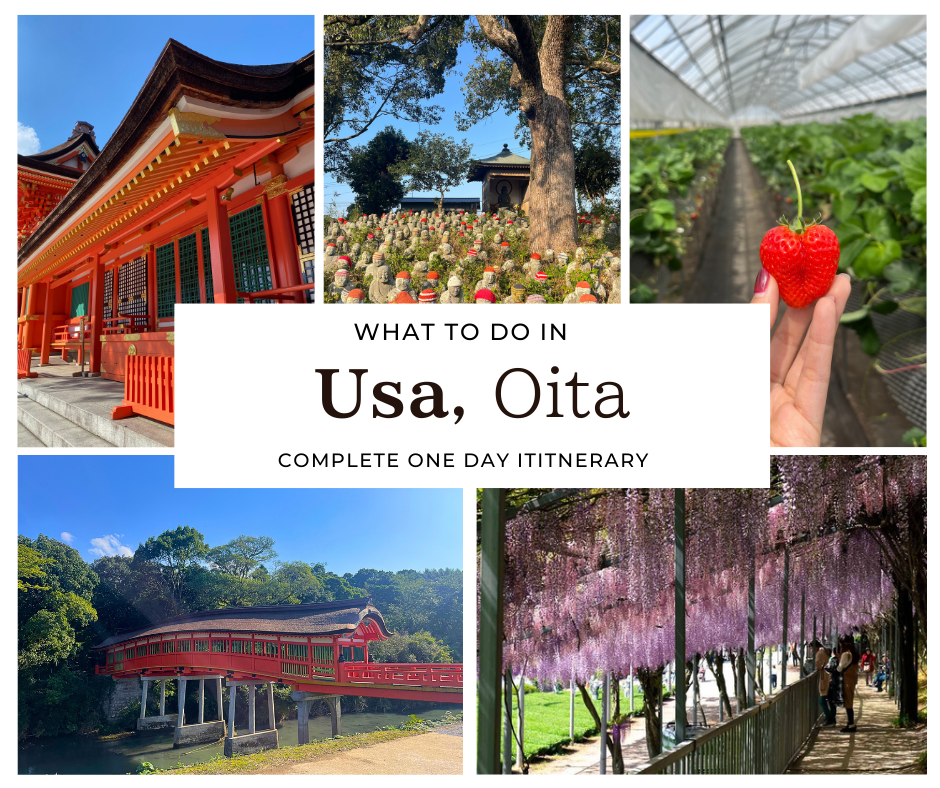 What to do in Usa Japan